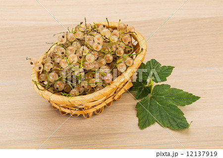 White currant 12137919