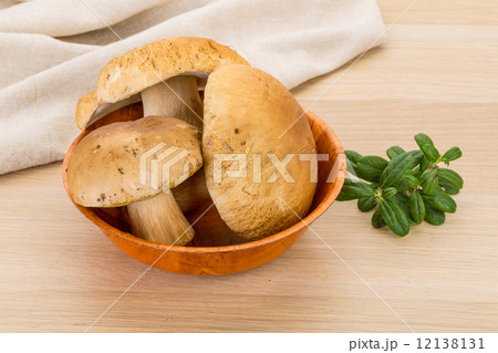 Boletus mushroom 12138131