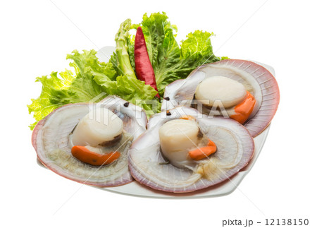 Raw fresh scallop Raw fresh scallop 12138150