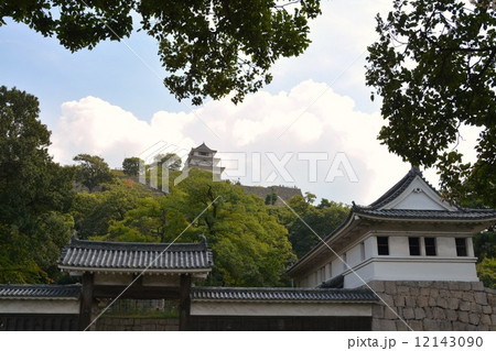 初秋の丸亀城 12143090