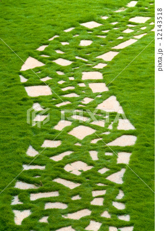 Garden pathway 12143518