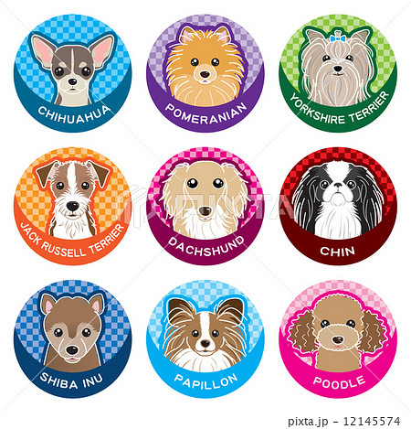 犬 / ネームプレート 犬 / ネームプレート 12145574