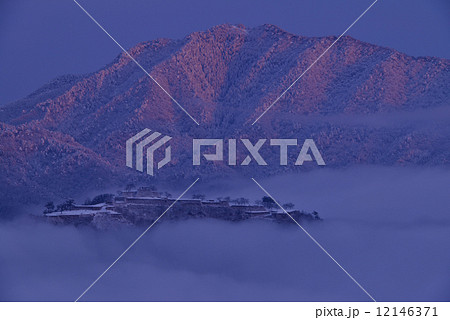 竹田城の雲海 12146371