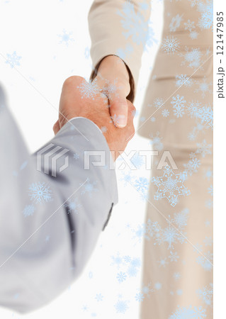 Composite image of business people are shaking hands 12147985