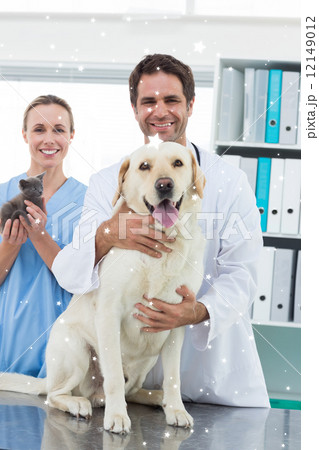 Composite image of veterinarians with dog and kitten 12149012