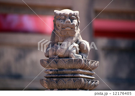 シーサー シーサー 12176405