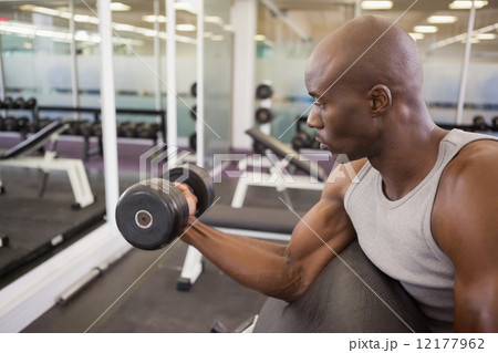 Muscular man exercising with dumbbell Muscular man exercising with dumbbell 12177962