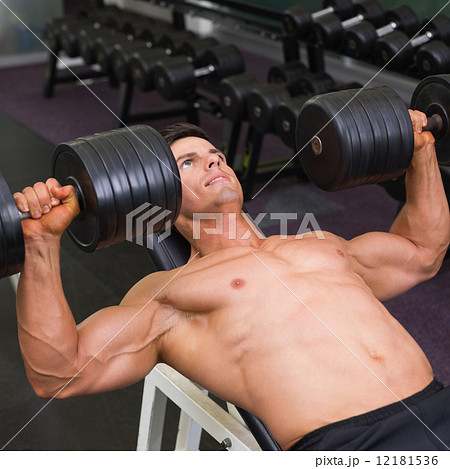 Muscular man exercising with dumbbells in gym Muscular man exercising with dumbbells in gym 12181536