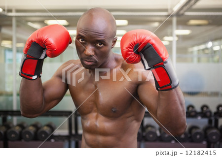 Shirtless muscular boxer in health club 12182415