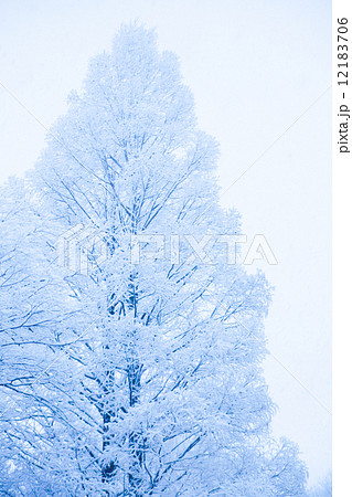 銀世界 雪 雪景色 雪化粧の写真素材
