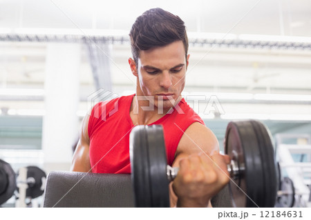 Muscular man exercising with dumbbell in gym 12184631