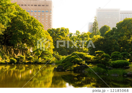 日比谷公園のため池 日比谷公園のため池 12185068