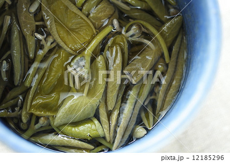 じゅんさい 12185296