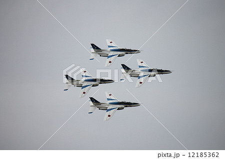 Ｔ－４　ブルー 12185362