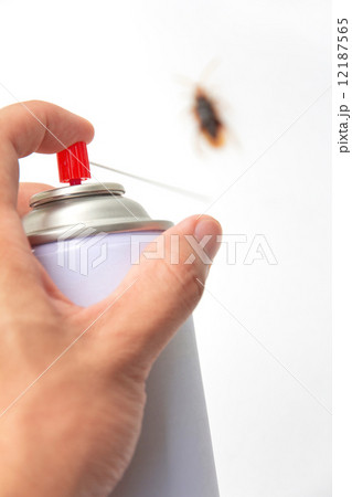 kill Cockroach  12187565