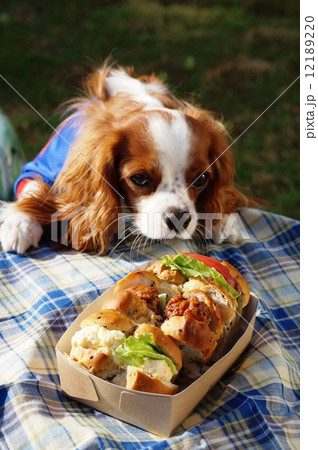 おいしそ~~ おいしそ~~ 12189220