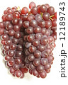 葡萄 12189743