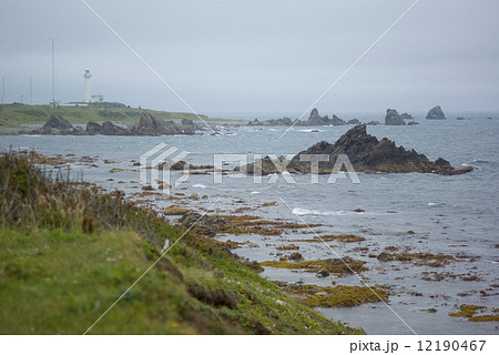 尻屋崎の海岸線 南 尻屋崎の海岸線 南 12190467