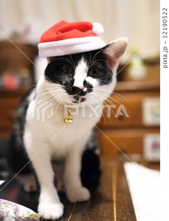 ムールカサンタ 12190522