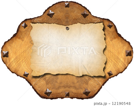 Old Empty Paper in Section of Tree 12190548