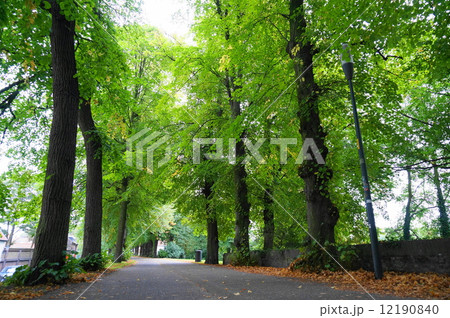 ブルージュ 12190840