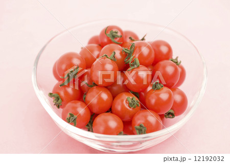 ミニトマト ミニトマト 12192032