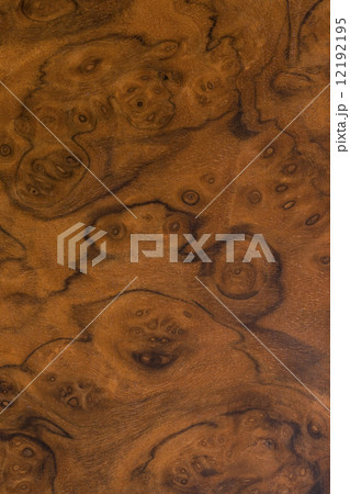 クラロウォルナットの板 12192195