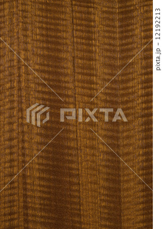 サペリの板 サペリの板 12192213