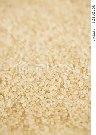 玄米 玄米 12192259