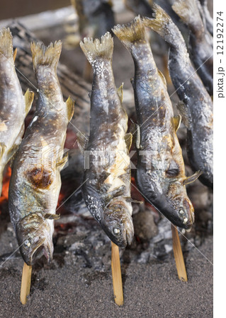 イワナの炭火焼 イワナの炭火焼 12192274