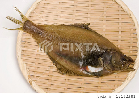 カレイの干物 12192381