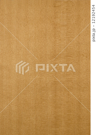 スプールスの板 スプールスの板 12192454