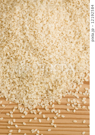 玄米 玄米 12192584