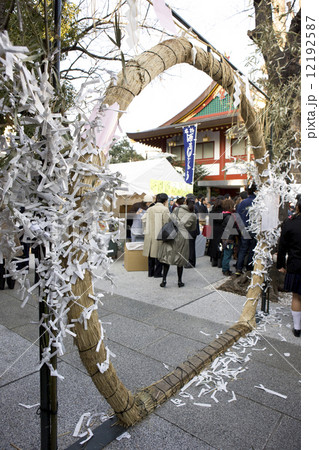 茅の輪くぐり 茅の輪くぐり 12192587