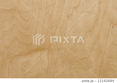 ハードメープルの板 12192684