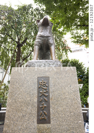 渋谷 忠犬ハチ公像 渋谷 忠犬ハチ公像 12192807