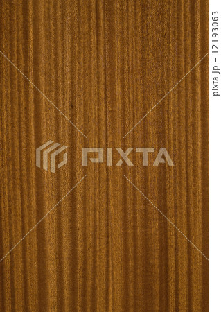 サべりの板 サべりの板 12193063