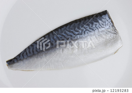 シメサバ 12193283