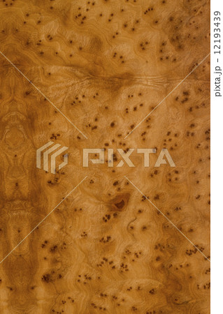 クスの板 12193439