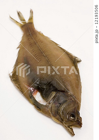 カレイの干物 12193506