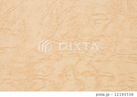 洋紙 洋紙 12193556