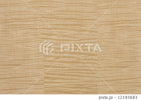 シカモアの板 12193683