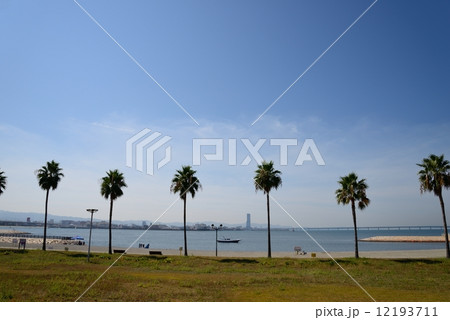 二色の浜公園 二色の浜公園 12193711