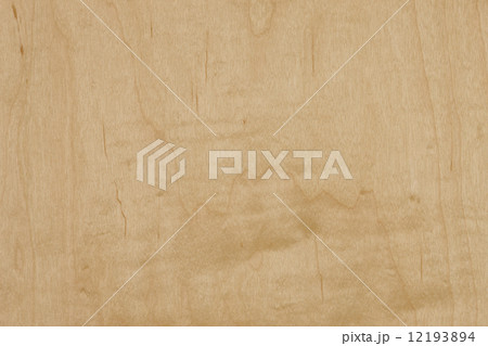 ハードメープルの板 12193894