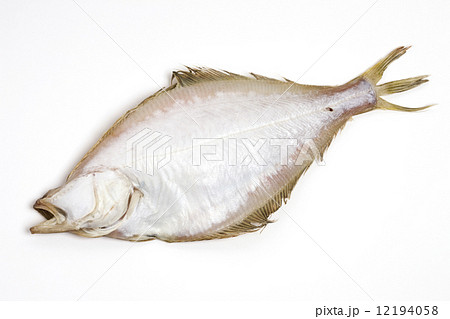 カレイの干物 カレイの干物 12194058