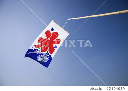 カキ氷の下げ旗 12194059