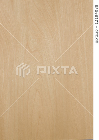 シナの板 シナの板 12194088