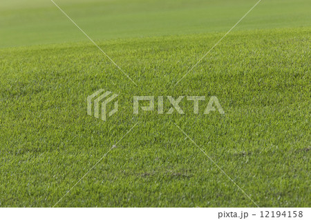 ゴルフ場 12194158