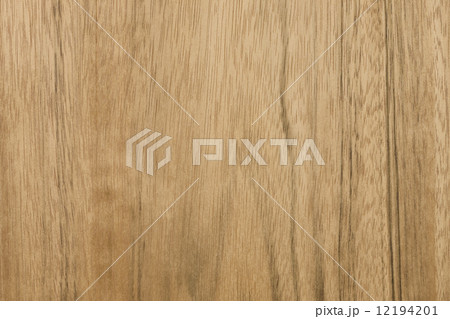 レオの板 12194201