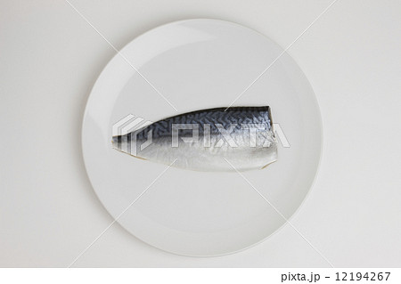 シメサバ 12194267